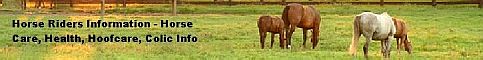 Horse Riders Info