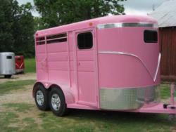 New '26 Calico ORDER WITH $1000 DEPOSIT! TRUE LOVE PINK 2 Slant 1