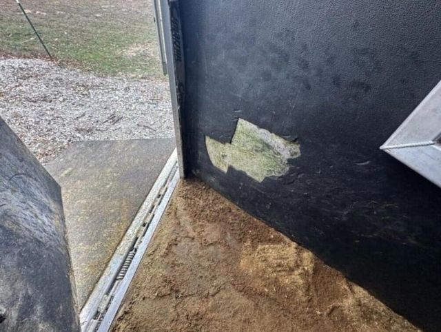 Used Horse Trailers for Sale