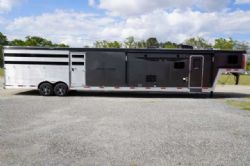 New '26 Bison Trail Hand 81715SS